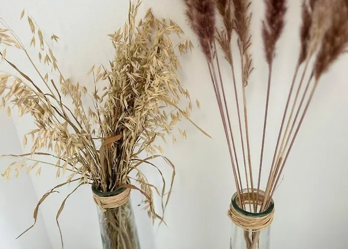 Kuestenbude Ostseestuebchen Grömitz